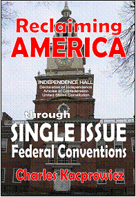 http://shop.unbornchildamendment.com/ Reclaiming America through Single Issue Conventions .jpg